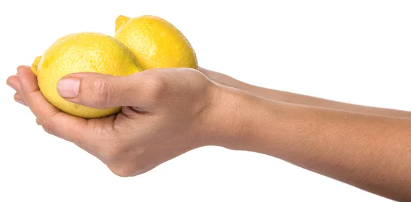 Holding Lemon Fruit — Stock Photo, Image