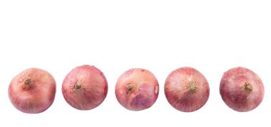 Beyaz arka plan üzerinde büyük kırmızı soğan