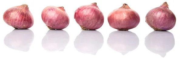 Large Red Onion White Background — Stock Photo, Image