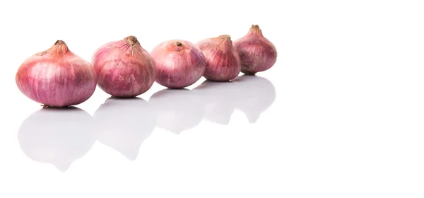 Large Red Onion White Background — Stock Photo, Image