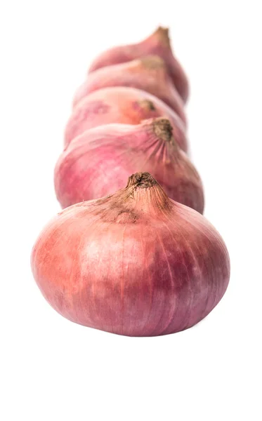 Büyük kırmızı soğan — Stok fotoğraf