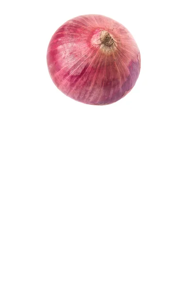 Grande cipolla rossa — Foto Stock