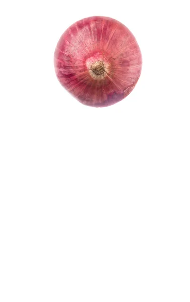 Μεγάλο κόκκινο κρεμμύδι — Φωτογραφία Αρχείου