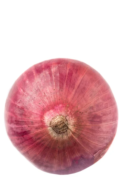 Cebolla Roja Grande Sobre Fondo Blanco —  Fotos de Stock