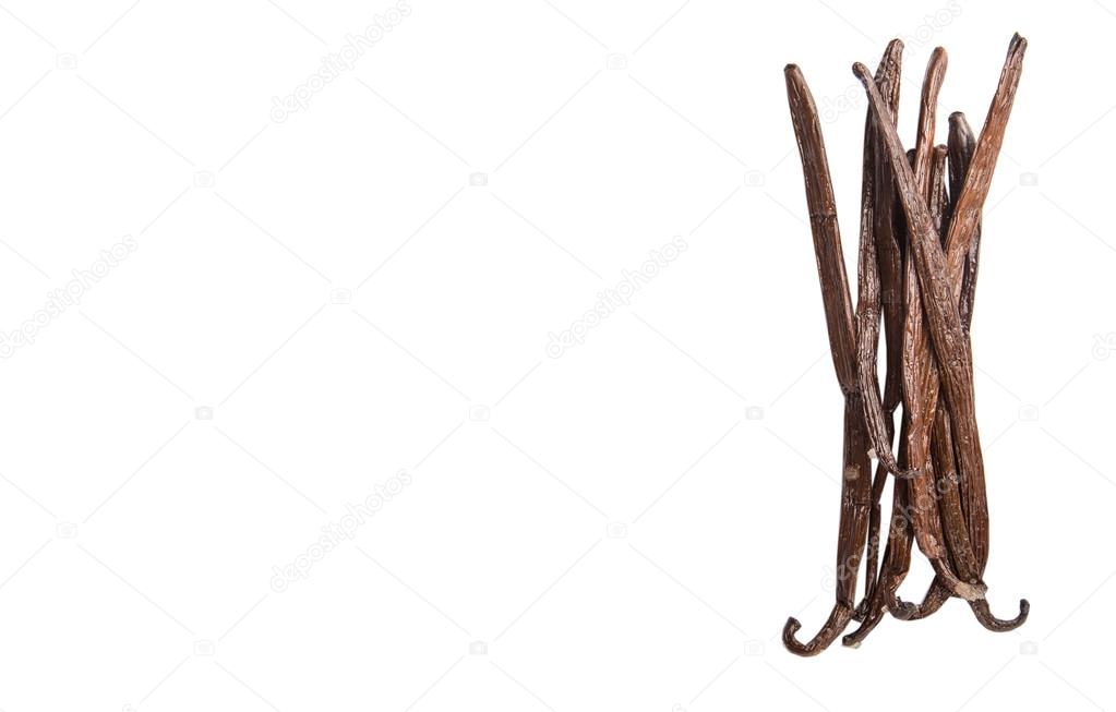 Vanilla Bean Pods