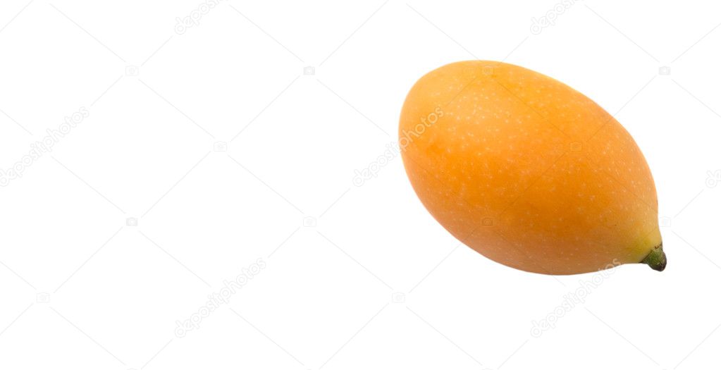 Buah Kundang Commonly Known English Marian Plum Gandaria Plum Mango ⬇