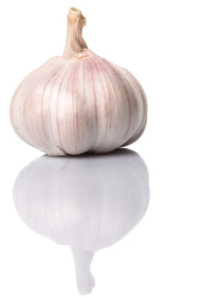 Garlic White Background — Stock Photo, Image