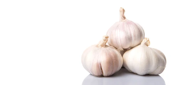 Garlic White Background — Stock Photo, Image