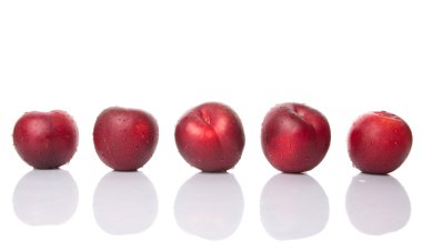 Victoria Erik veya kırmızı Erik