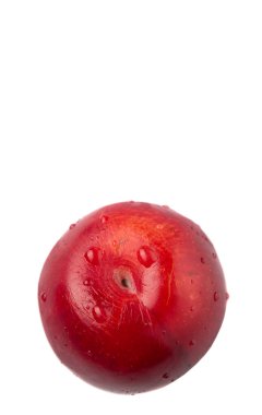 Victoria Erik veya kırmızı beyaz arka plan üzerinde Erik