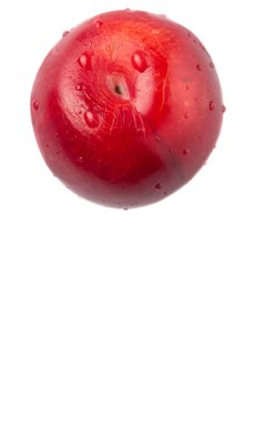 Victoria Erik veya kırmızı beyaz arka plan üzerinde Erik