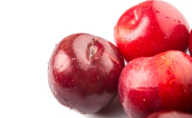 Victoria Erik veya kırmızı Erik