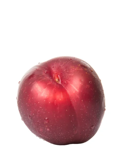 Victoria Plum ou ameixa vermelha — Fotografia de Stock