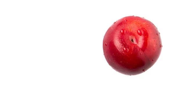 Victoria Plum Red Plum White Background — Stock Photo, Image