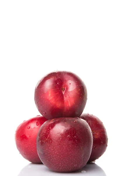 Prune Victoria ou prune rouge — Photo