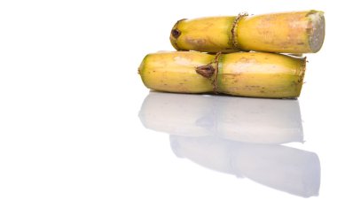 Beyaz arka plan üzerinde şeker kamışı saplarını kesip