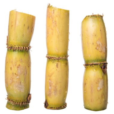 Şeker kamışı SAP