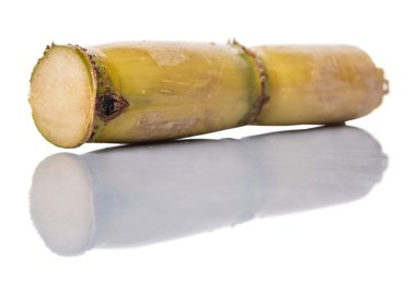 Şeker kamışı SAP