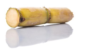 Beyaz arka plan üzerinde şeker kamışı saplarını kesip