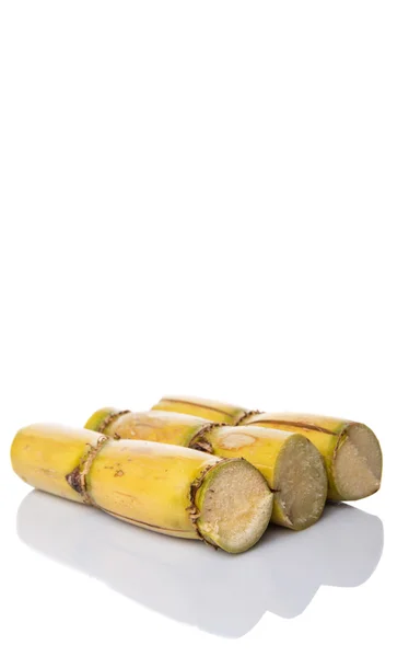 Pernas de cana-de-açúcar — Fotografia de Stock