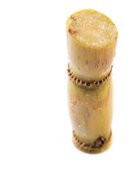 Sugarcane Stalks — Stock Photo, Image