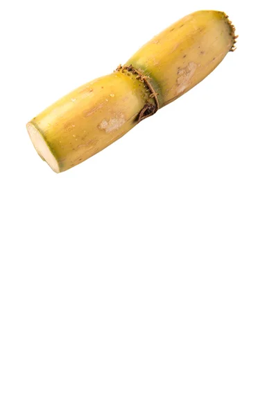 Sugarcane Stalks — Stock Photo, Image