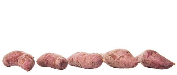 Japanese Sweet Potato — Stock Photo, Image