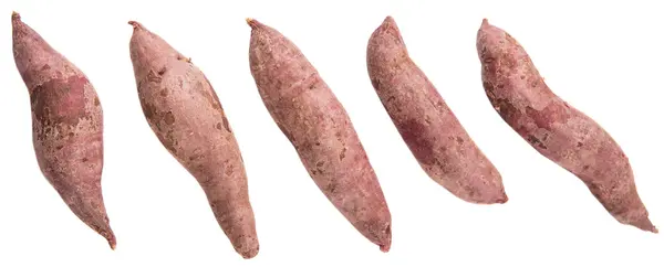 Japanese Sweet Potato — Stock Photo, Image