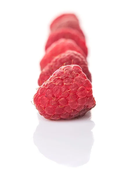 Framboise — Photo