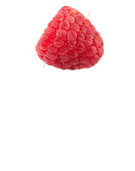 Raspberry Fruit — Stock Photo, Image