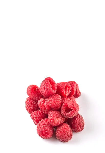 Framboise — Photo