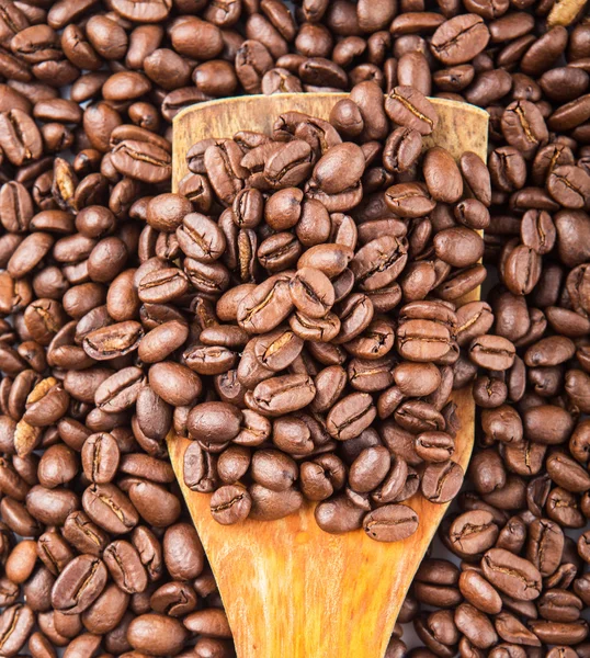 Roasted Coffee Beans — Stock Photo, Image
