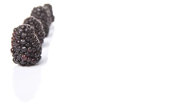 Blackberry Fruits — Stock Photo, Image