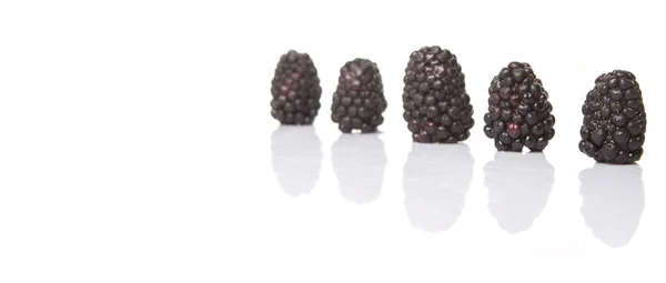BlackBerry ovoce — Stock fotografie