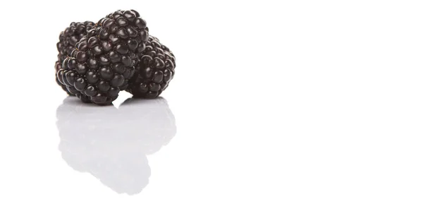 BlackBerry фрукти — стокове фото