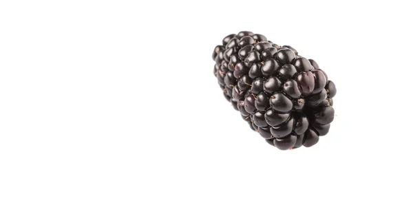 Blackberry Fruit White Background — Stock Photo, Image