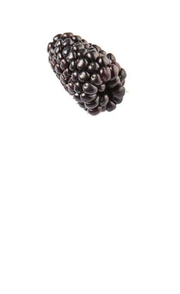 Blackberry Frutas Sobre Fundo Branco — Fotografia de Stock