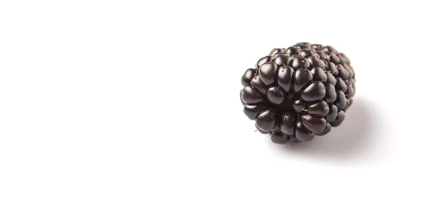 Blackberry Vruchten Witte Achtergrond — Stockfoto
