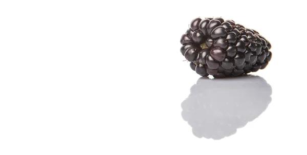 BlackBerry фрукти — стокове фото