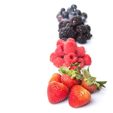 Çilek, böğürtlen, yaban mersini ve ahududu