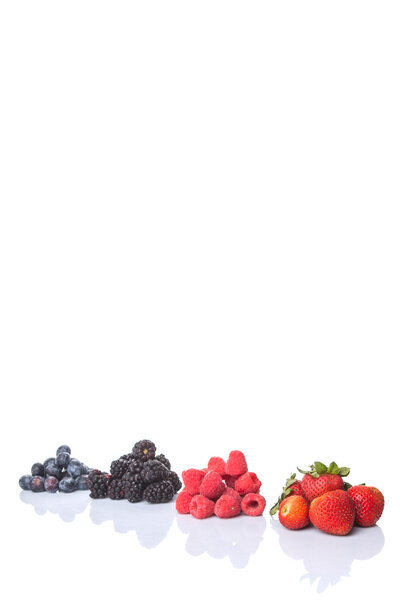 Strawberry, Blackberry, Blueberry and Raspberry