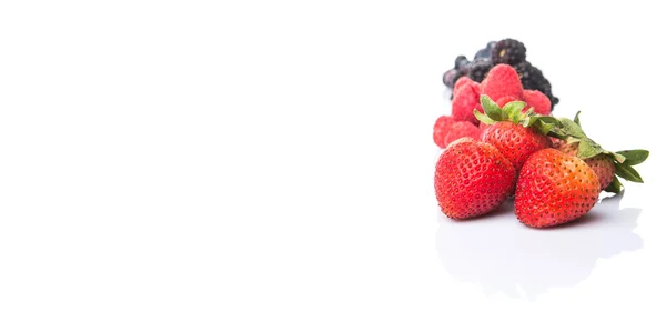 Strawberry, Blackberry, Blueberry and Raspberry — Stock Photo, Image