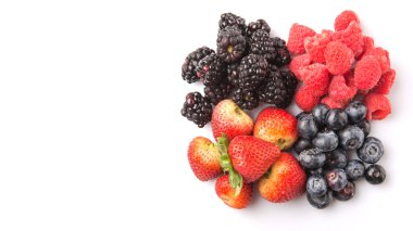 Çilek, böğürtlen, yaban mersini ve ahududu