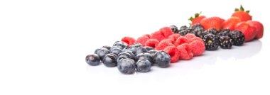 Çilek, böğürtlen, yaban mersini ve ahududu beyaz arka plan üzerinde