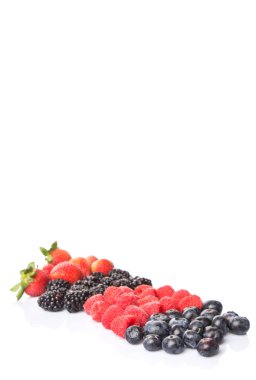 Çilek, böğürtlen, yaban mersini ve ahududu