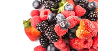 Çilek, böğürtlen, yaban mersini ve ahududu