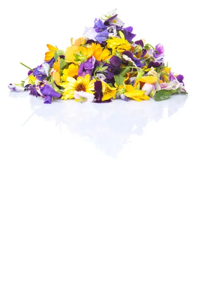 Mix Edible Flower Salad — Stock Photo, Image