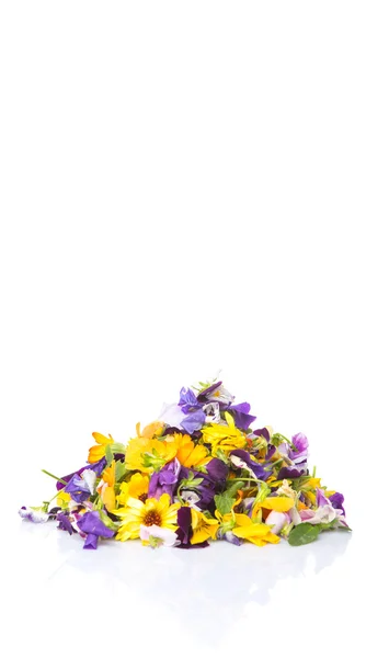 Mix Edible Flower Salad — Stock Photo, Image