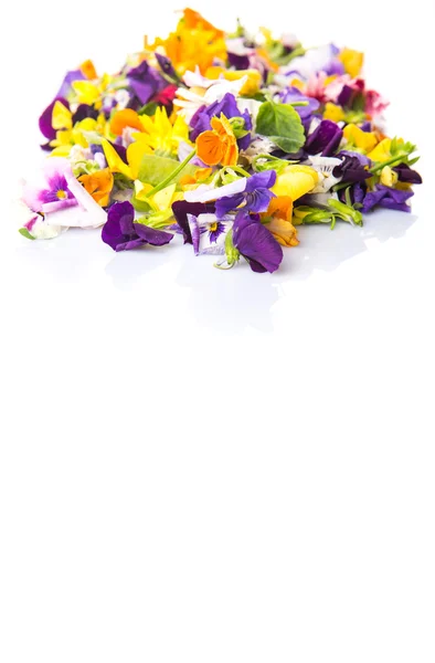 Mix Edible Flower Salad White Background — Stock Photo, Image