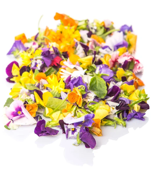 Mix Edible Flower Salad — Stock Photo, Image